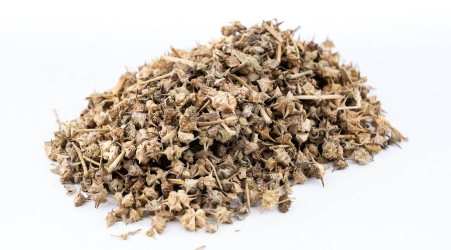 Benefits of Gokhru You Must be Aware of - HealthKart