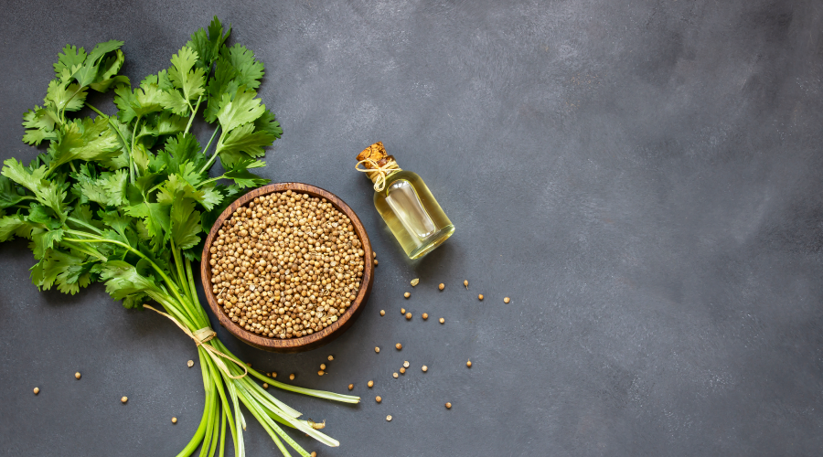 coriander-uses
