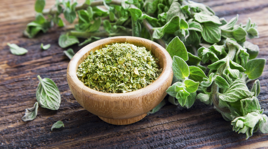 Oregano Benefits That Will Leave You Amazed HealthKart