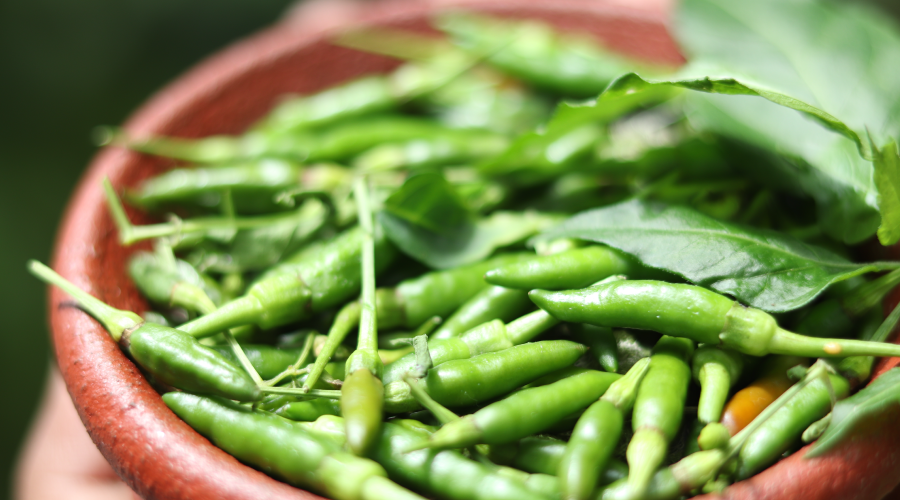 Benefits Of Green Chillies You Did Not Know About HealthKart