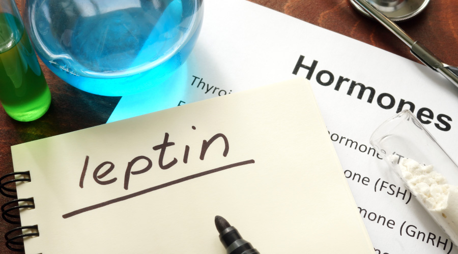 Leptin Hormone: How Does It Help in Weight Management? Leptin Hormone
