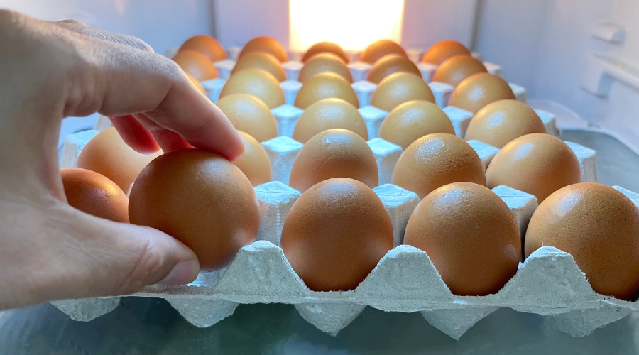 Shelf Life Of Eggs Everything You Should Know HealthKart