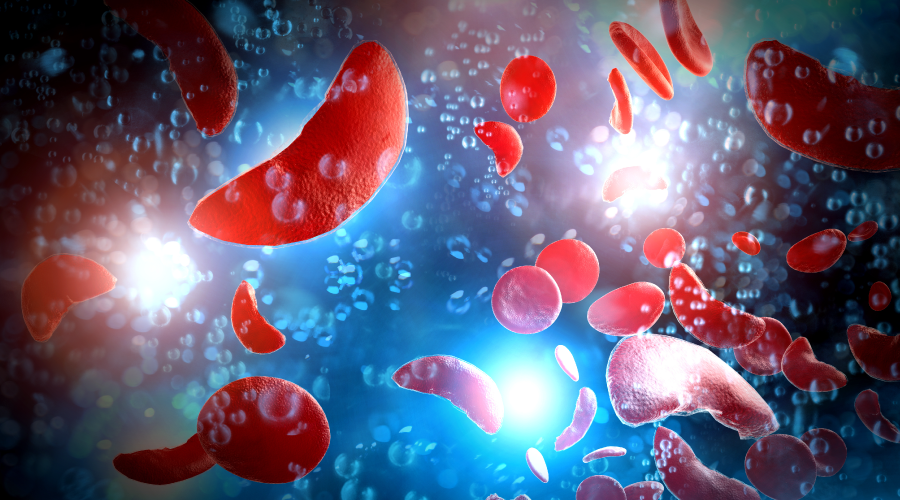 अपने शरीर में हीमोग्लोबिन का स्तर कैसे बढ़ाएं? how to increase hemoglobin
