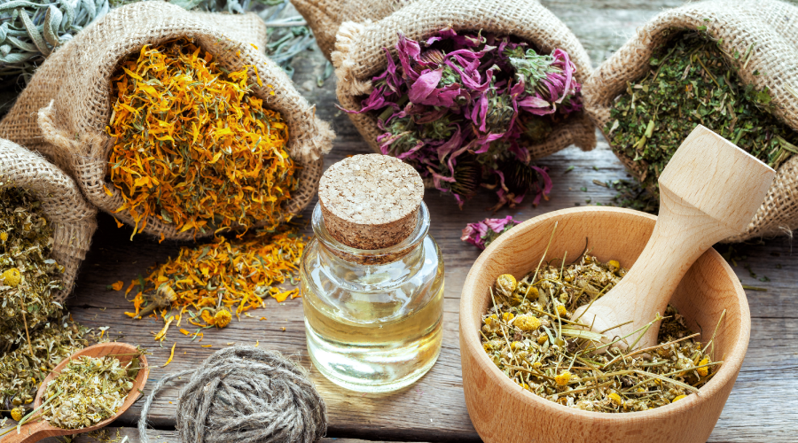 Healthy Herbs You Must Add to Your Diet HealthKart