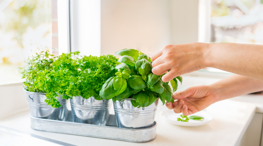 Kitchen Garden Preparedness: The Kitchen Storm Update Guide You Need Now - 3ht6mep