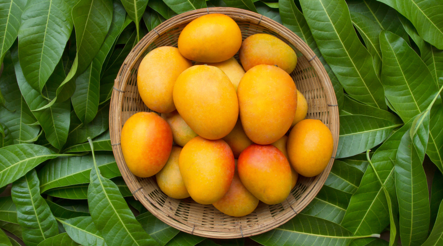 Mango Benefits That You Simply Cannot Miss HealthKart