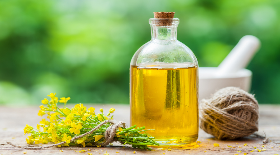 Canola Oil Unravelling the Health Benefits HealthKart