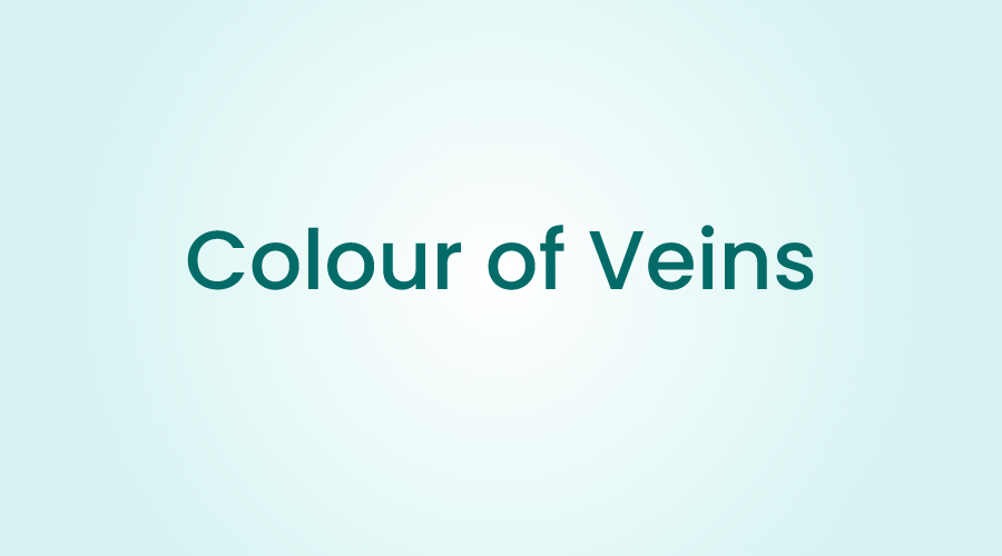 What Does the Colour of Veins Signify About Your Health?